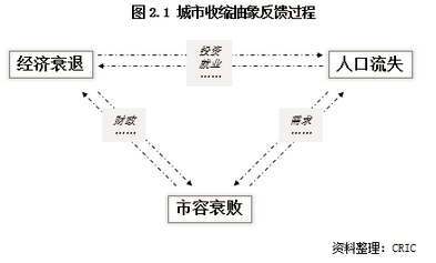 城市分化