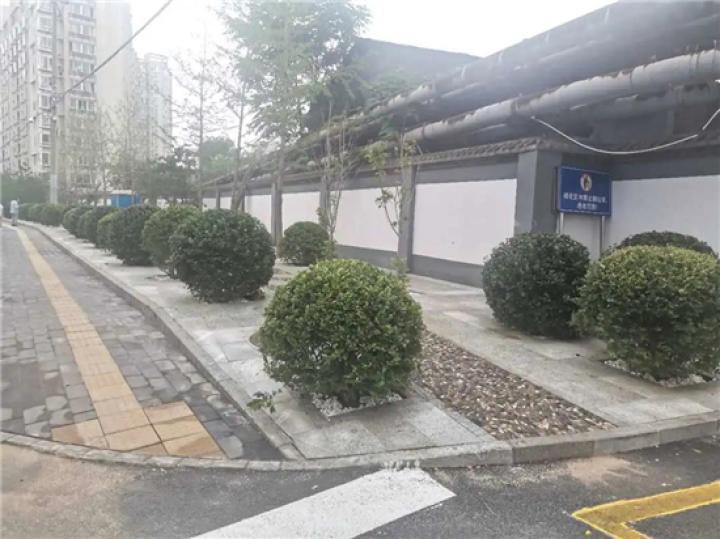 常营南路整治工程已完工!道路两侧增加300多个停车位!