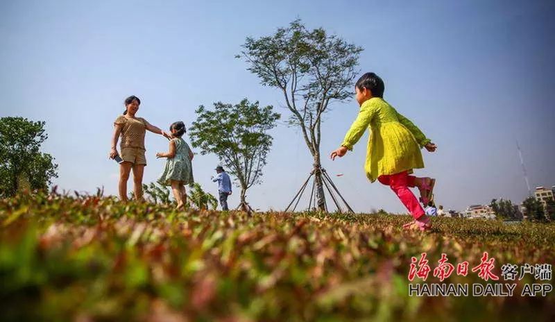自豪！海口获评全球首批“国际湿地城市”！一大波美图感受一下