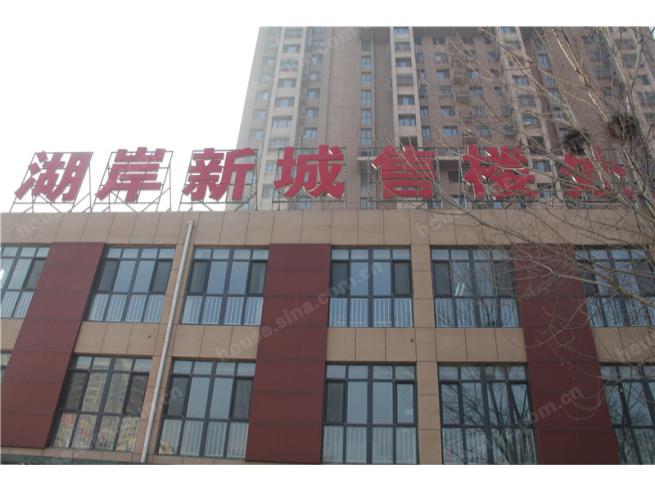 湖岸新城