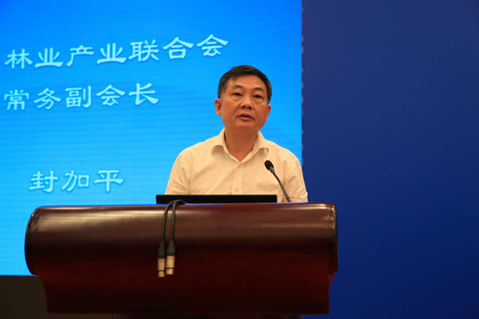 中国林业产业联合会常务副会长封加平