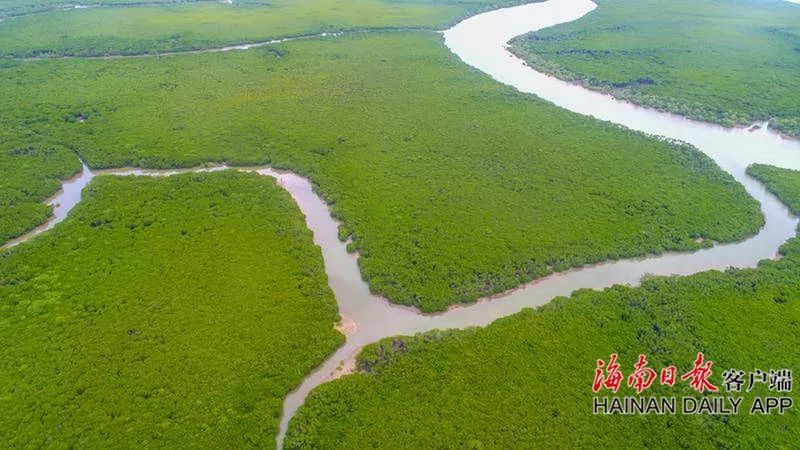 自豪！海口获评全球首批“国际湿地城市”！一大波美图感受一下