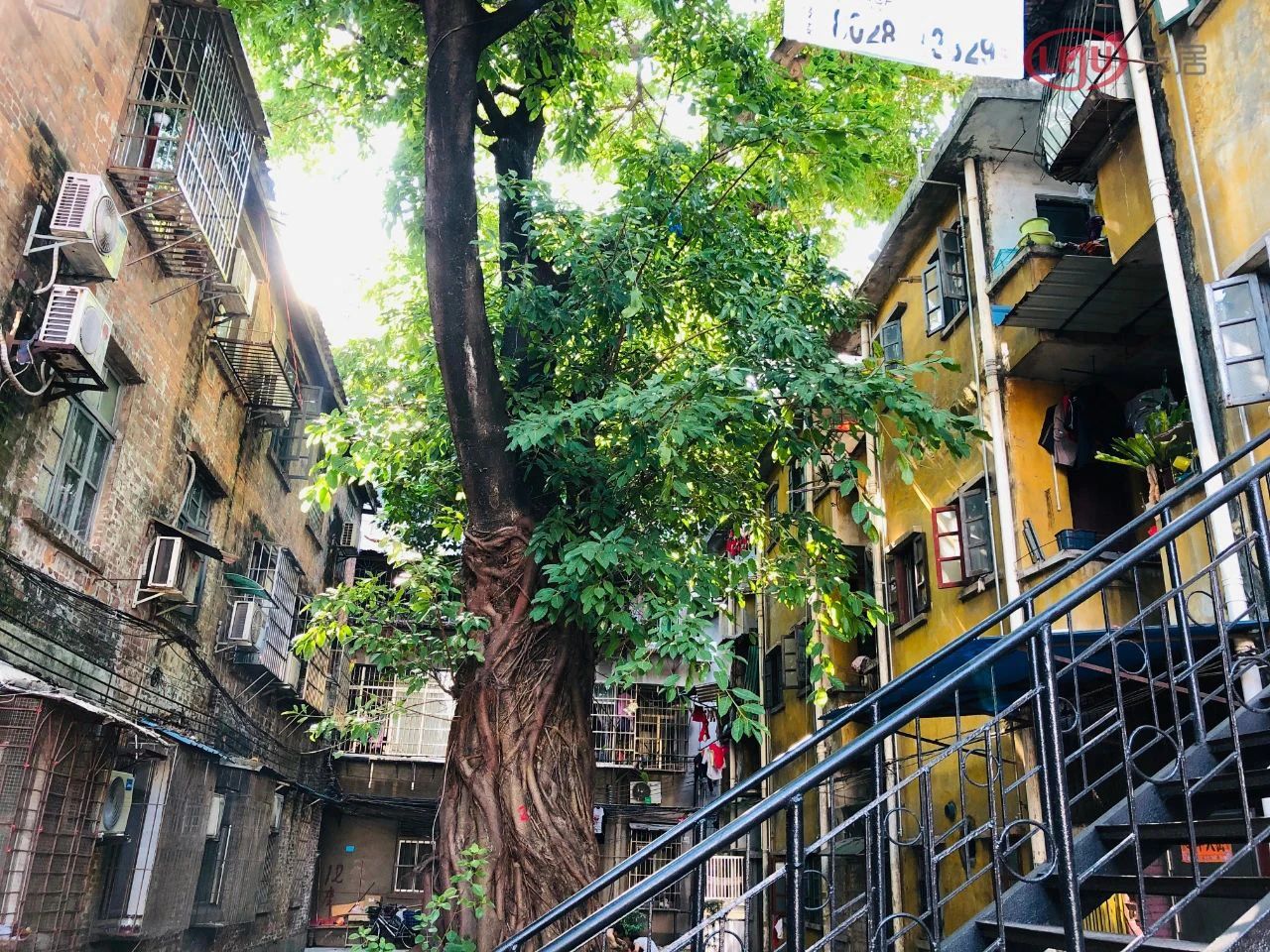 土地快讯|3小时107轮！5.1万/㎡！保利豪夺琶洲江景靓地