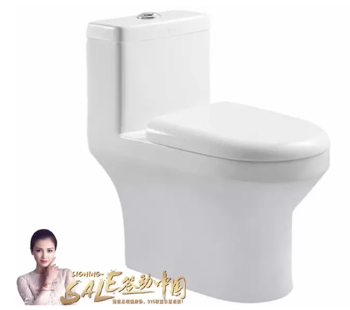 东鹏连体式坐便器 统一促销价699元