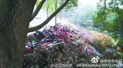  市民拍摄的摩拜单车歪倒在绿道旁