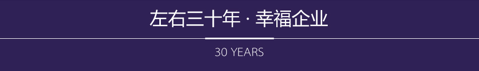 左右三十年 · 幸福企业