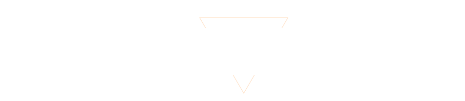 数据标题文字5
