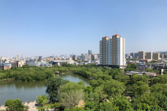 去年全国旅游业对GDP的综合贡献为9.94万亿元
