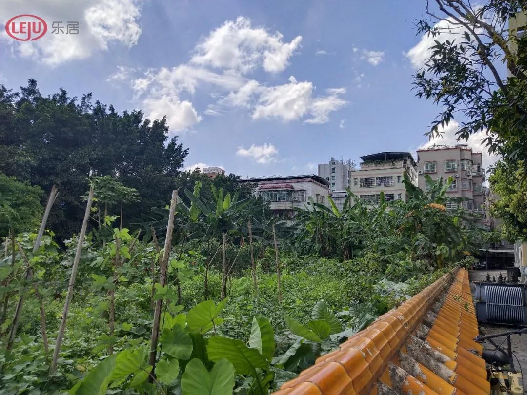 同意率99!房企掷7000万图谋渔沙坦村