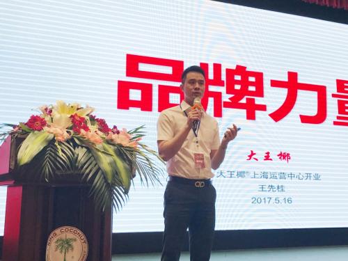 大王椰智环常务副总王先桂王总做主题演讲  