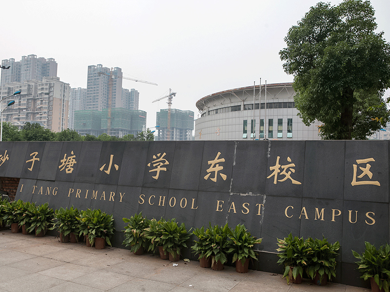 泰禹砂子塘小学