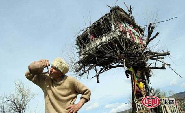 65岁老人建悬空树屋 独居十年