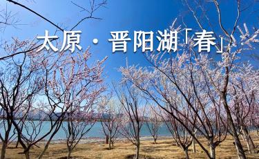 【春天花会开】晋阳湖畔春光好 鸭游春水桃花开（组图）