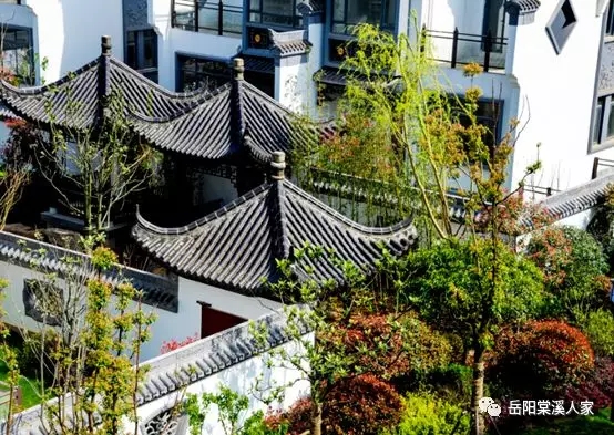 岳阳棠溪人家:改变城市力量 与岳阳,共升新时代旭阳