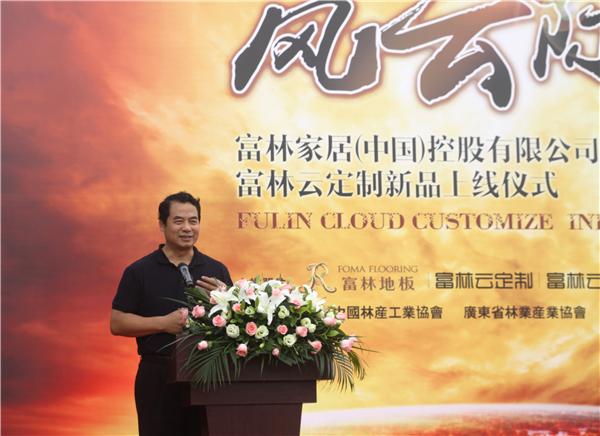 中国林产工业协会执行会长王满先生