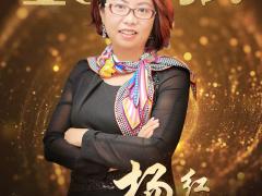 浪鲸卫浴杨红荣获2017中国家居品牌经理 ...