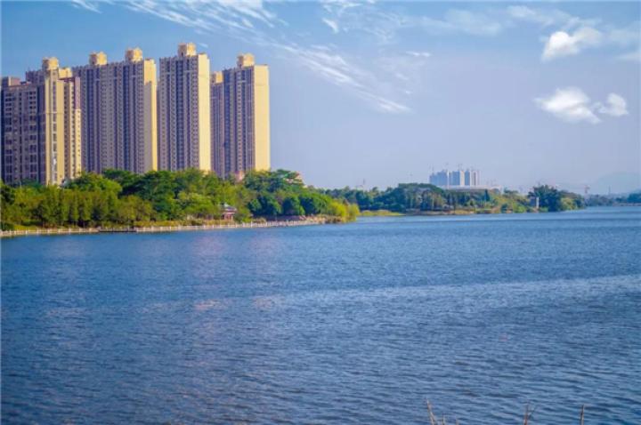 丨金山湖公园实景图
