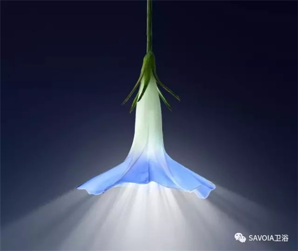 图片来自网络