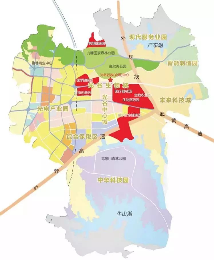 光谷生物城空间布局图 光谷生物城位于武汉东湖新技术开发区,规划