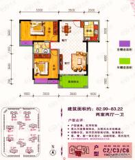 中央新城C2/C3/C6户型户型图