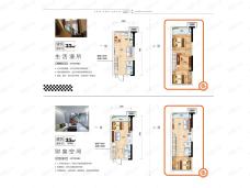 碧桂园泰富城2室2厅1卫户型图