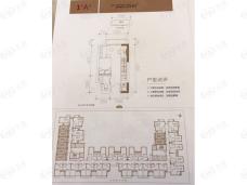 深城投中心公馆1室1卫户型图