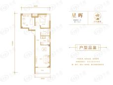 文鑫时代星空2室2厅1卫户型图