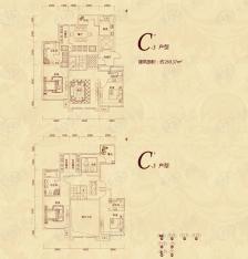 复地东山国际C’-3户型 五室两厅四卫户型图