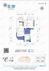 九盛北海2室2厅2卫户型图