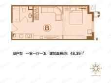 泰华·未来公馆1室1厅1卫户型图