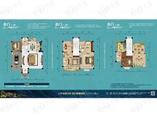 包头碧桂园5室2厅4卫户型图