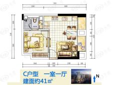 鲁能星城鲁能星城13街区C户型  建面约41㎡  一室一厅一卫户型图