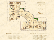 美和馨苑01户型&02户型户型图