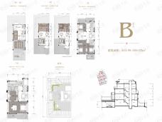 中海央墅5室4厅6卫户型图