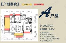 帕佳图玥湖半岛2室2厅2卫户型图