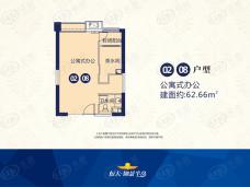 恒大御景半岛02、08户型户型图