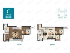 万科白鹭郡C户型复式户型图