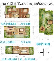 金科岭上4室3厅3卫户型图