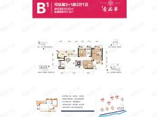 轨道云启4室2厅1卫户型图