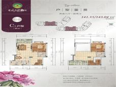 宝源花园三期C3户型（跃层）户型图