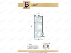 华鸿·金色纽约1室1厅1卫户型图