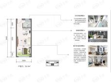 奥林匹克花园1室1厅1卫户型图