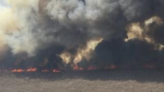玻利维亚东部的森林大火扑灭 下雨了