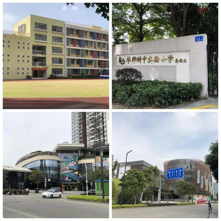 华附+培英“王炸”学位！白云