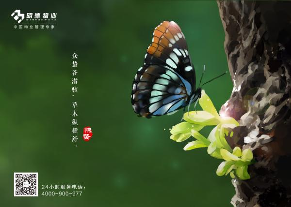 物业服务企业2019惊蛰海报大赏