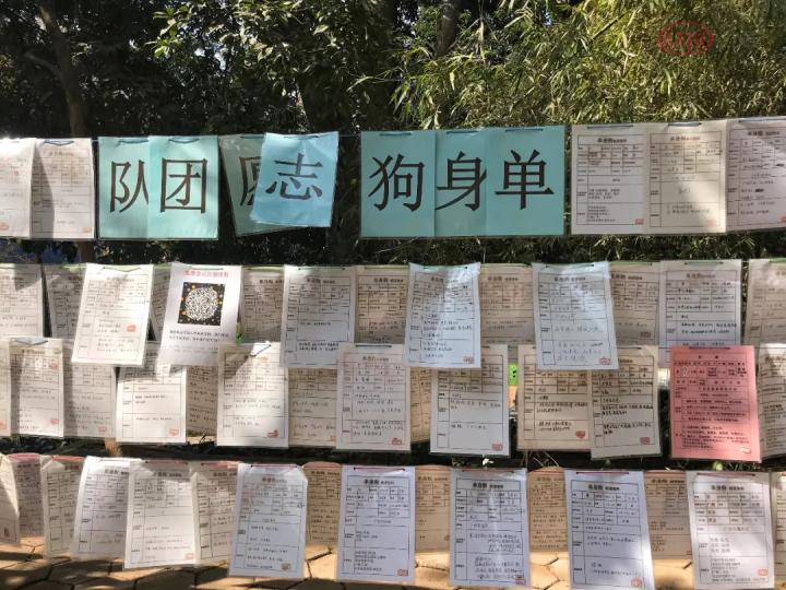 探访天河公园相亲角