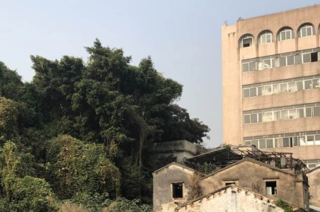 2020年东丽区共有124万平米拆迁 涉及各个街道
