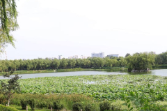 南中轴新添700亩城市公园