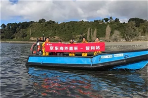 ▲ 京东7FRESH海外直采团队来到智利“寻鲜”