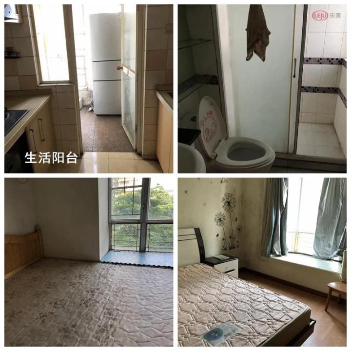 华附+培英“王炸”学位！白云
